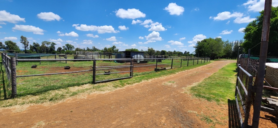 Commercial Property for Sale in Ferreira Free State